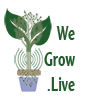 We Grow Live