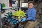 Growing Food in Space