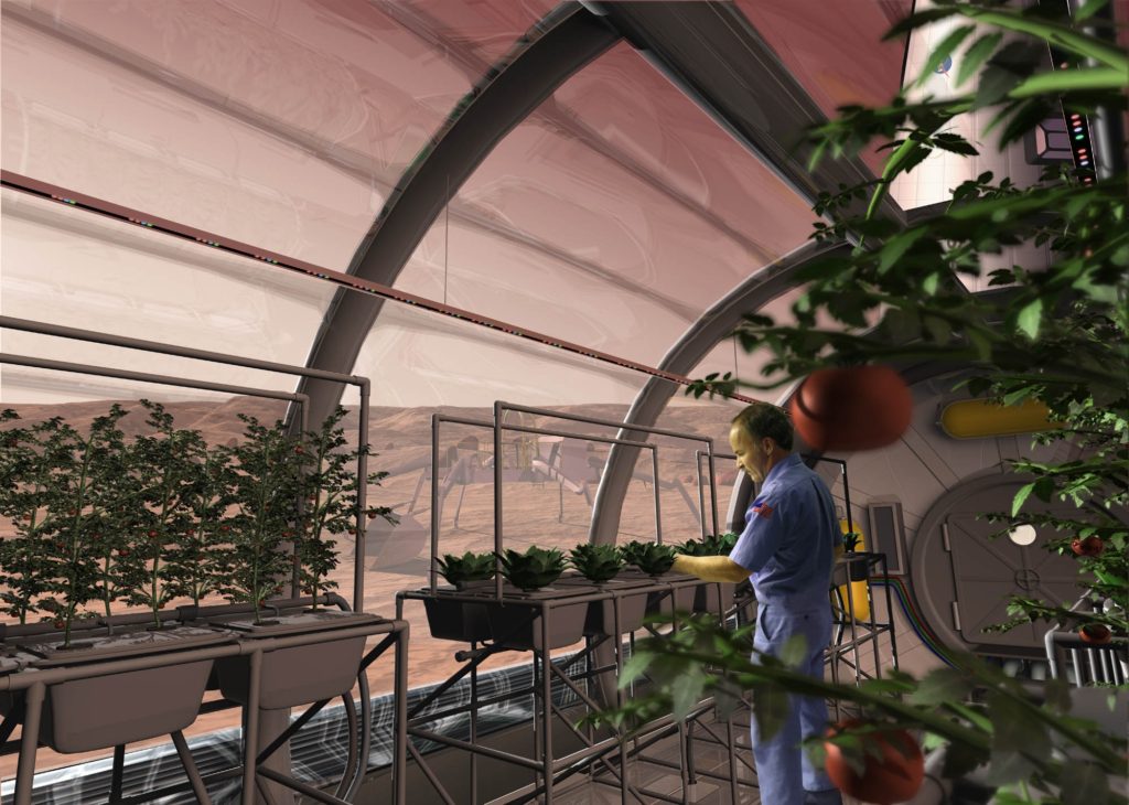 NASA Rendering Graphic of Possible Space Gardens