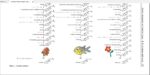 Steroids Triterpenoids Molecular Oxygen